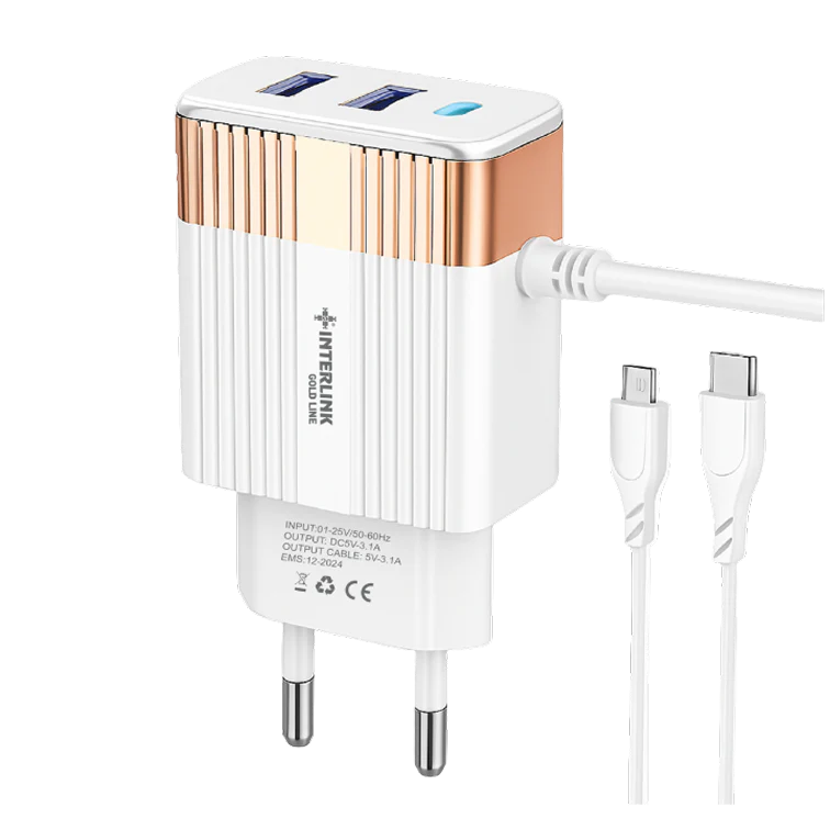 Interlink Gold Line DC Charger 12V – Smart Battery Charger for 12V Batteries
