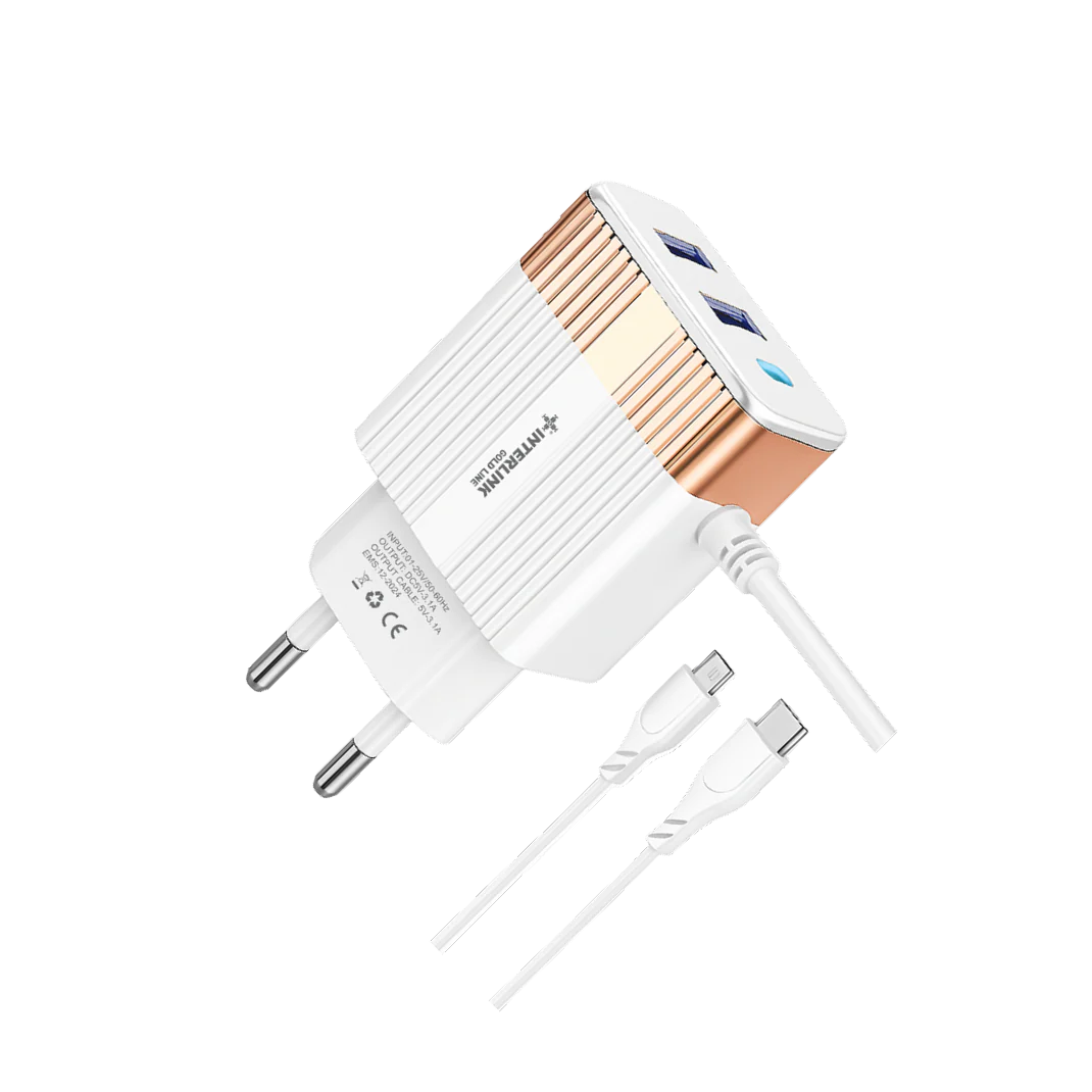 Interlink Gold Line DC Charger 12V – Smart Battery Charger for 12V Batteries