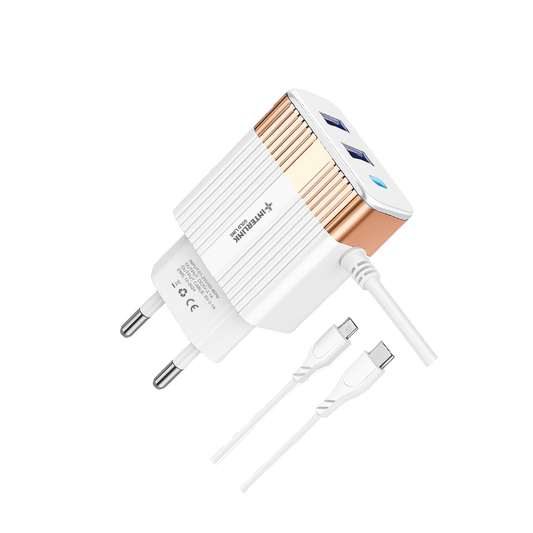 Interlink Gold Line DC Charger 12V – Smart Battery Charger for 12V Batteries